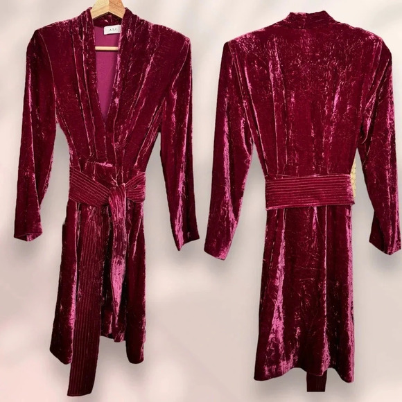 A.L.C. Kiera Velvet Dress Whimsigoth Fuchsia Pink Size 2 - Picture 3 of 13